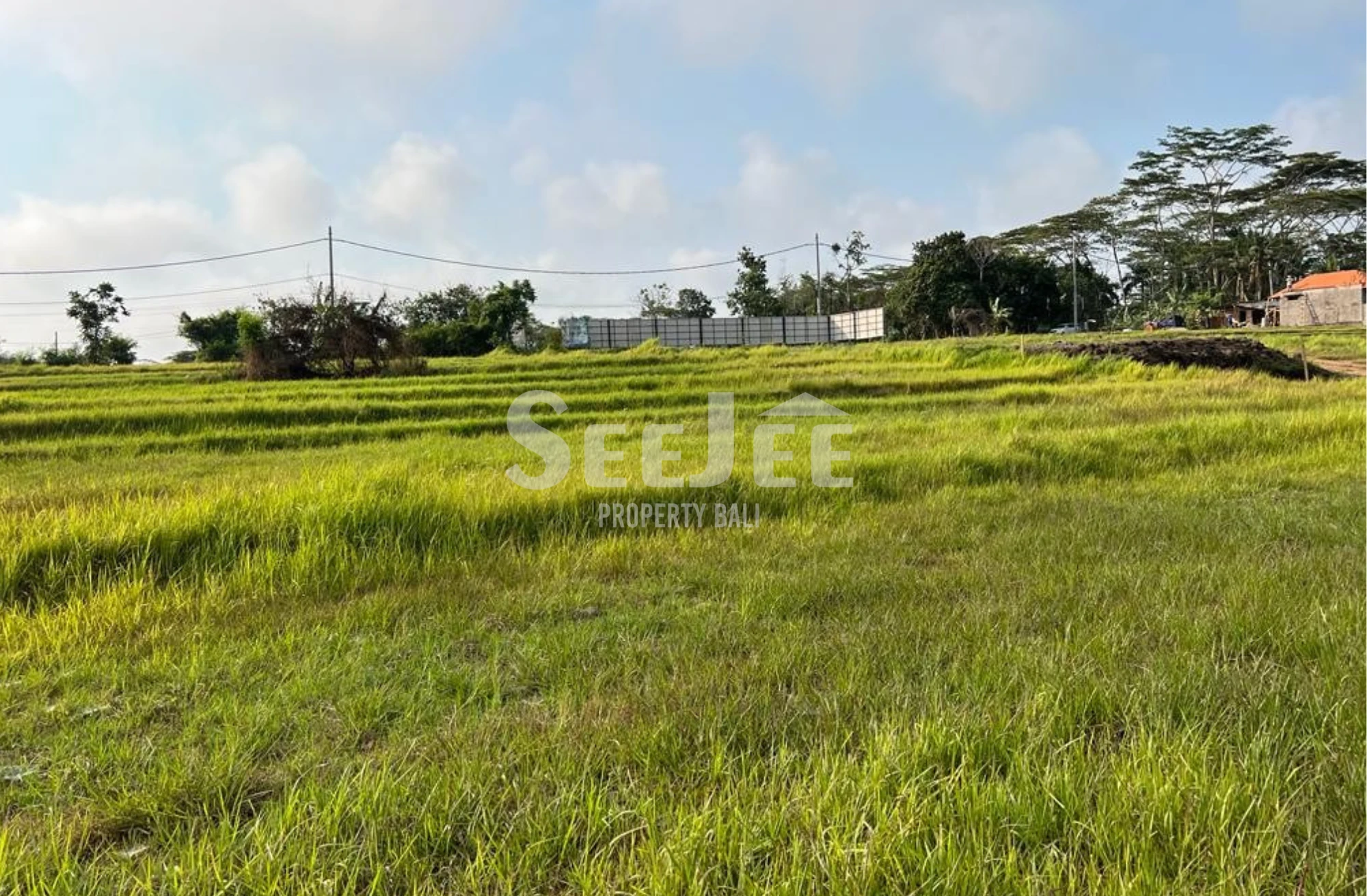 RARE PINK ZONE LAND NEAR NYANYI BEACH & NUANU – COASTAL GROWTH CORRIDOR OPPORTUNITY - SLLC035