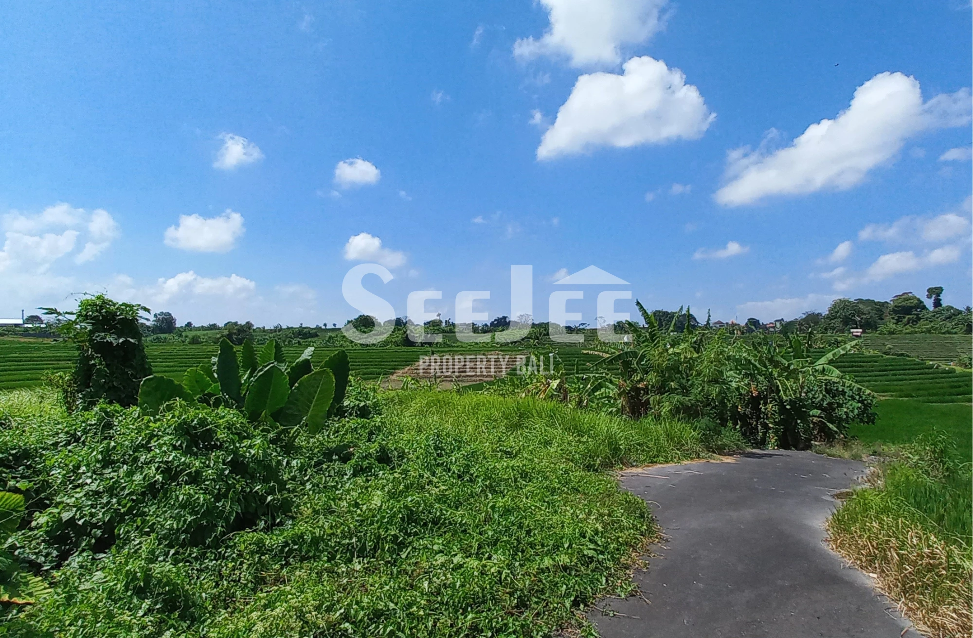 WHERE BALI STILL FEELS LIKE BALI — A QUIET ESCAPE SURROUNDED BY RICE FIELDS - SLFC068