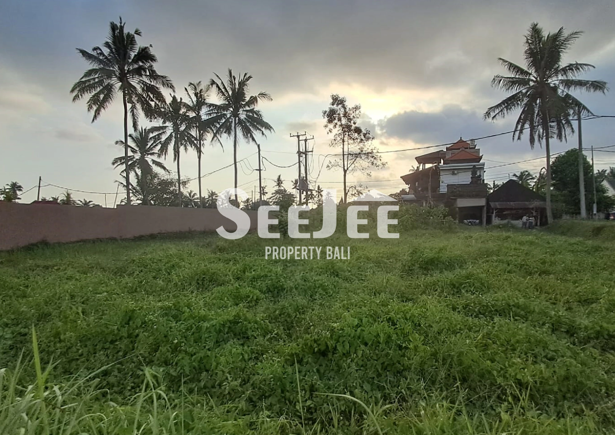 A LAND WAITING FOR YOUR VISION — PEJENG, UBUD - SLFU027